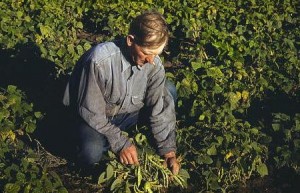 Farming We once had no choice but to farm, now our choices are practically endless